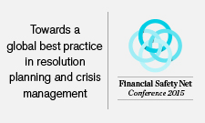 Financial Safety Net Conference - logo